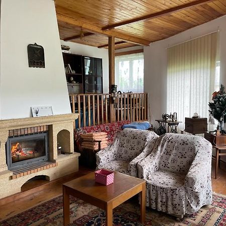 Casa Adelina Villa Valea Lunga-Cricov Ngoại thất bức ảnh