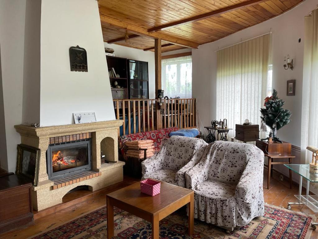 Casa Adelina Villa Valea Lunga-Cricov Ngoại thất bức ảnh