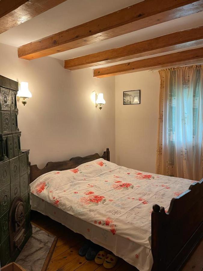 Casa Adelina Villa Valea Lunga-Cricov Ngoại thất bức ảnh