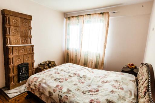 Casa Adelina Villa Valea Lunga-Cricov Ngoại thất bức ảnh