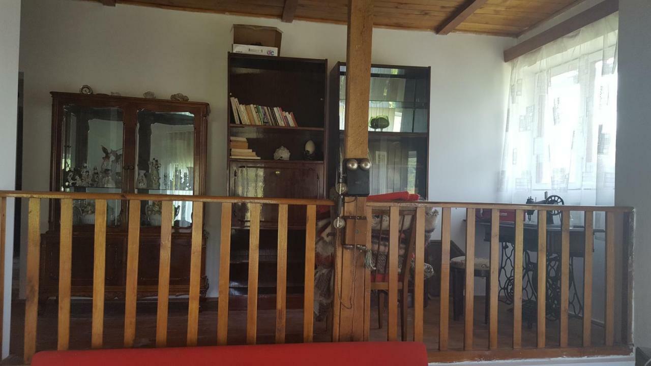Casa Adelina Villa Valea Lunga-Cricov Ngoại thất bức ảnh